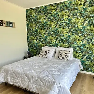 Oasis - Funchal (Madeira)